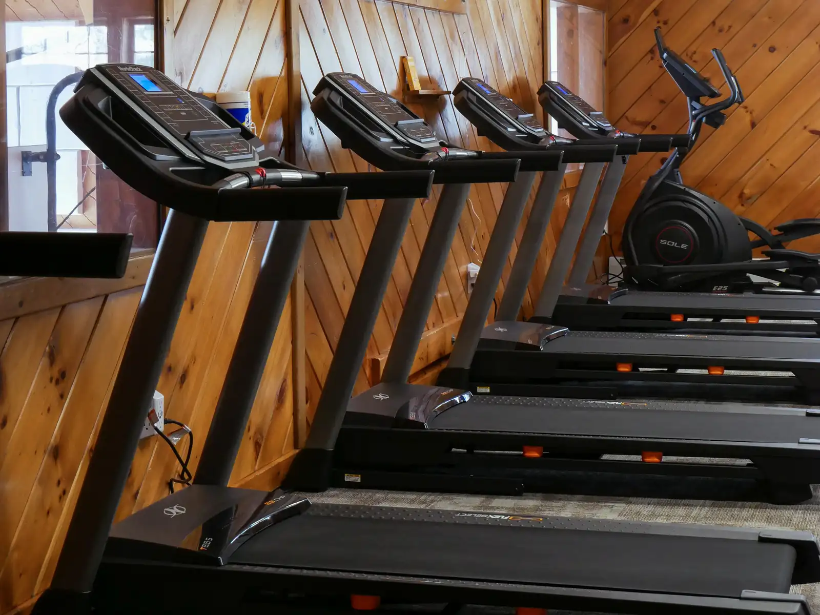 Treadmills in a row with an elliptical at the end, along a diagonal knotty pine wall in the His Mansion fitness room